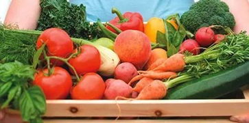 想要活下去的萬科 全面布局農(nóng)業(yè)板塊，以軍莊鎮(zhèn)為例探索生鮮農(nóng)產(chǎn)品種植特色小鎮(zhèn)