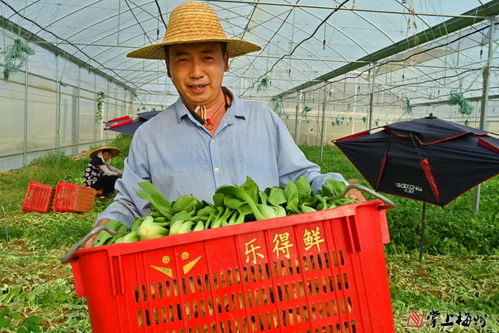 小特色撬動(dòng)大產(chǎn)業(yè) 梅江區(qū)苗木產(chǎn)業(yè)的市場化、產(chǎn)業(yè)化、品牌化路徑