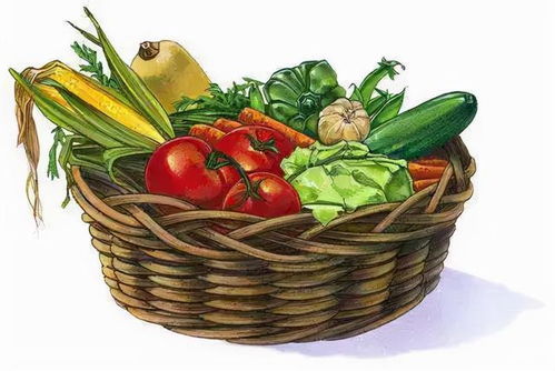 節(jié)前走訪菜市場 貨源充足價格穩(wěn)，新春苗木添綠意