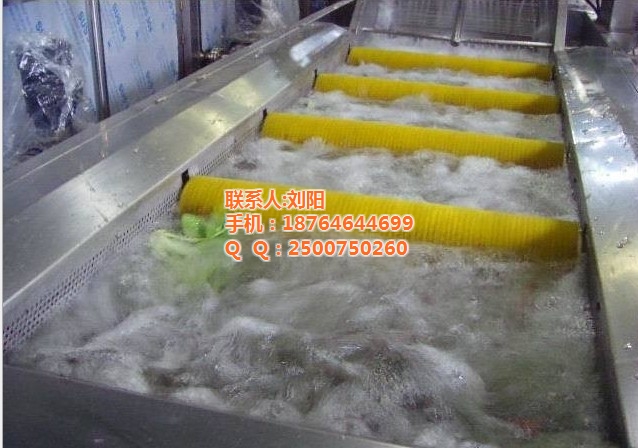 諸城匯康機(jī)械 深耕清洗設(shè)備領(lǐng)域，助力四川辣椒與獼猴桃產(chǎn)業(yè)提質(zhì)增效