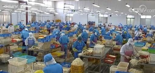 拓市場穩訂單，我國蔬菜出口逐步回暖