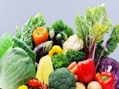 無錫蔬菜配送中心 現代都市農業與高效供應鏈的苗木根基