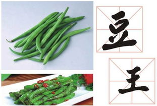 搶年貨 藍天農業園精品蔬菜箱開始搶購啦！